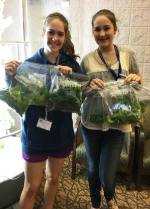 Teen volunteers package fresh produce