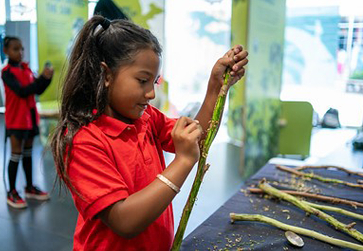 Native Hawaian girl at museum workshop session