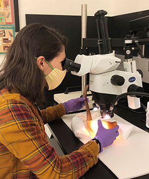 Denver Museum Research