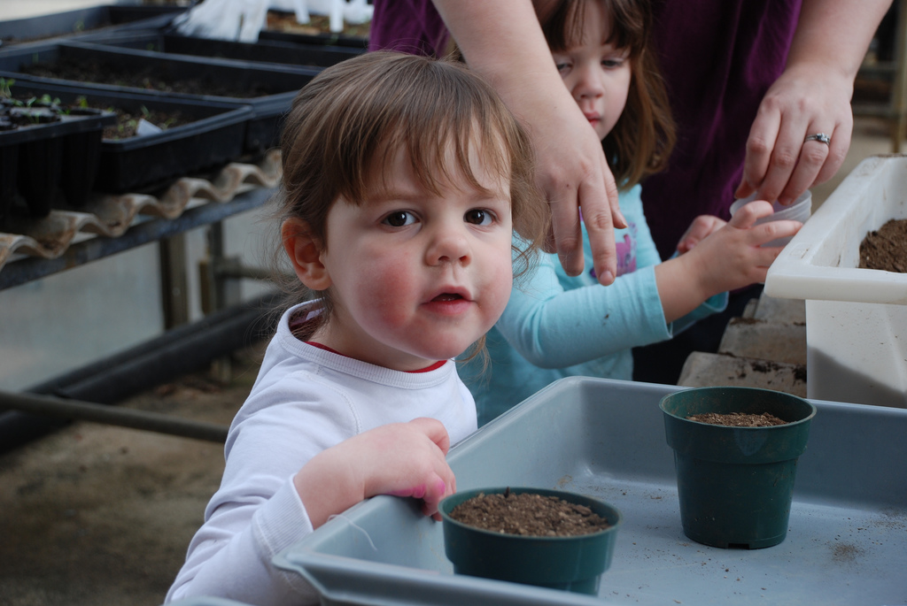 toddlers plant seeds in pots