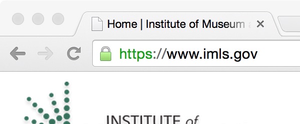 image of https:// url in browser