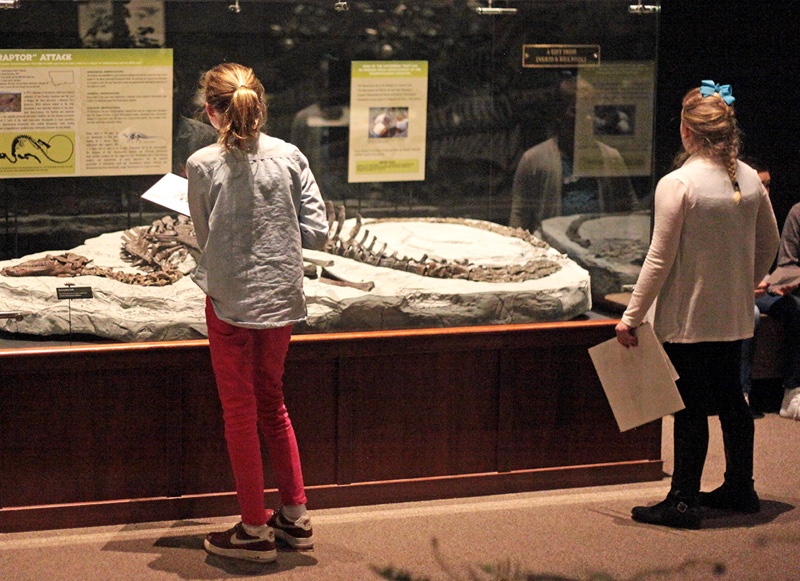two elementary-age girls look an exhibit of dinosaur bones
