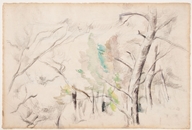 Trees (Arbres); c. 1900, possibly earlier. Watercolor and graphite on laid paper