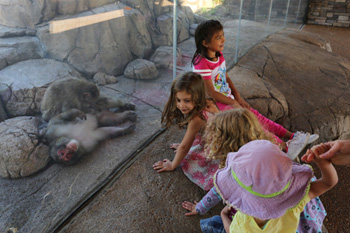 April 2018 Project Profile young visitors at macaques exhibit