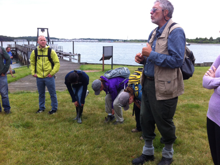 Volunteers gather at a “Stewardship Saturday” project on Grape Island, in the Boston Harbor Islands.
