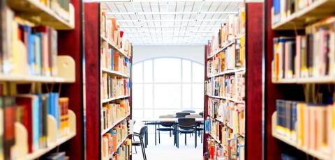 Library Bookshelf