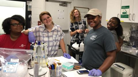 Atlanta Botanical Garden. Undergraduate students working on orchid DNA barcoding projects in the Conservation Genetics Laboratory in the Southeastern Center for Conservation at ABG.