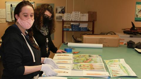 Two library workers organize materials on a table.