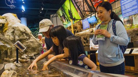 Visitors get hands-on in one of the many tangible Living River Trail exhibits